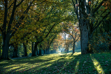  Die vom Herbst verfärbten Bäume im Historischen Park auf dem Bielefelder Johannisberg