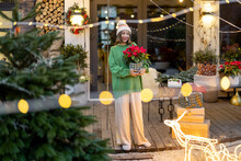 Woman Carrying Poinsettia Flower At Christmas Decorated Backyard Of Her Country House. Concept Of Preparation For The Winter Holidays. Caucasian Woman Wearing Green Sweater And Hat