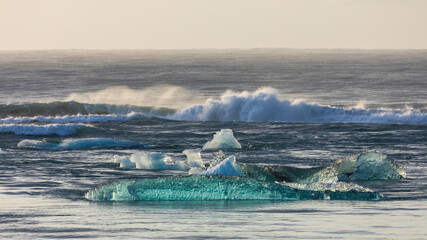 Poster - Europe, Iceland. Morning light shines on ice chunks on Diamond Beach near Jokulsarlon glacial lagoon on the south coast.