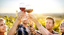 Happy People Enjoying Harvest Time Together At Farmhouse Winery Countryside - Youth And Friendship Concept - Toasting Red Wine Glass At Vineyard Before Sunset - Focus On The Wine Glass