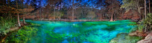 Panoramic Of Peacock 2 Springs Illuminated At Night, Wes Skiles Peacock Springs State Park, Florida
