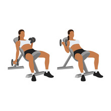 Woman Doing Seated Alternating Incline Bench Dumbbell Curls Exercise. Flat Vector Illustration Isolated On White Background