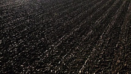 Bird eye camera by drone over brown plowed earth of agricultural field in the early morning on sunny day in countryside aerial view at fall. Contrasting light of low percher sun just after sunrise.