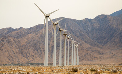 Wall Mural - USA, California, Palm Springs. Wind farm turbines.