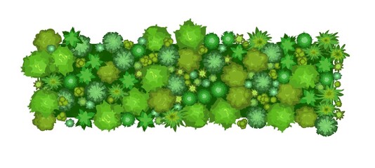 Wall Mural - small forest with height. park with trees. view from above. plant landscape. island. green wildlife.