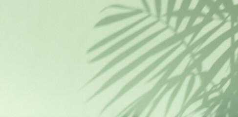 Aesthetic shadow of the palm leaves on a pastel green background. Background for advertising your product. Creative copy space for your design. Abstract texture. Banner