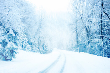 Cold and snowy winter road in the mountains with blue evergreens during snowstorm.