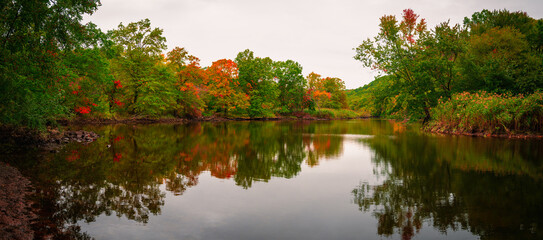 Wall Mural - Panoramic stunning photo of autumn foliage reflected on the river with a glass-like mirror water surface. Beautiful autumn woods with clean calm water of Mill River in New Haven, Connecticut.