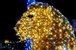 The Very beautiful Christmas lights in Gaeta, fairy tales of light 2019, Gaeta, Lazio, Italy. Representation of lion