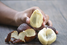 Salak, Snake Fruit, Salacca Zalacca Is A Species Of Palm Tree Family Arecaceae Native To Java And Sumatra In Indonesia