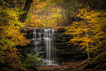 USA, Pennsylvania, Ricketts Glen State Park. Autumn Forest And Waterfalls Cascading Over Rocks.