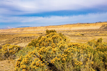 Canvas Print - USA, Utah, Flaming Gorge National Recreation Area Glades West