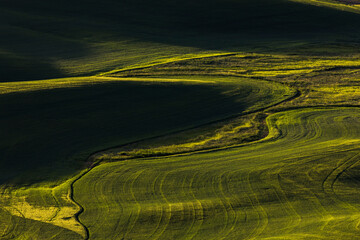 Sticker - Rolling hills of emerging wheat crops in spring, elevated view from Steptoe Butte State Park, eastern Washington.