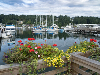 Canvas Print - Usa, Washington State, Gig Harbor, geraniums in planters on dock by marina