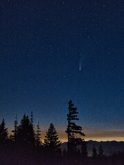 Sticker - USA, Washington State, Comet NEOWISE above the Cascade Mountains