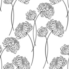 Chrysanthemums on white background. Seamless vector pattern. Floral background. Perfect for design templates, wallpaper, wrapping, fabric and textile.