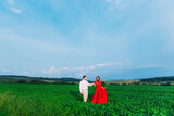 Fototapeta Kuchnia - The guy holds the hand of a pregnant woman in a red dress outdoors on a green field. Pregnancy and paternity. Pregnant couple.