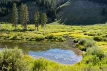 USA, Wyoming. Meandering Stream And Lush Vegetation, Bridger Teton National Forest.