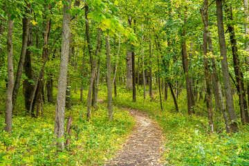 Wall Mural - Jester State Park in Madrid, Des Moines Iowa