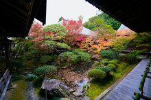【京都】禅林寺の紅葉（秋）