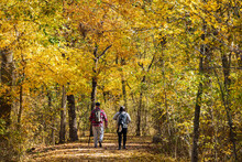 Fall Color Of The Nature Trail In Chickasaw National Recreation Area