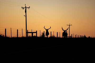 Canvas Print - point reyes 