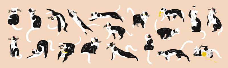 Poster - Black White Cats Set