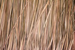 Thatch roof background, hay or dry Blady grass background.