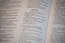 Psalm 23 Bible Scripture Comfort Soothing Lord Shepherd