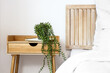 Wooden nightstand with houseplant and notebook near light wall in bedroom