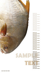 Wall Mural - fresh Pomfret isolated on white background 