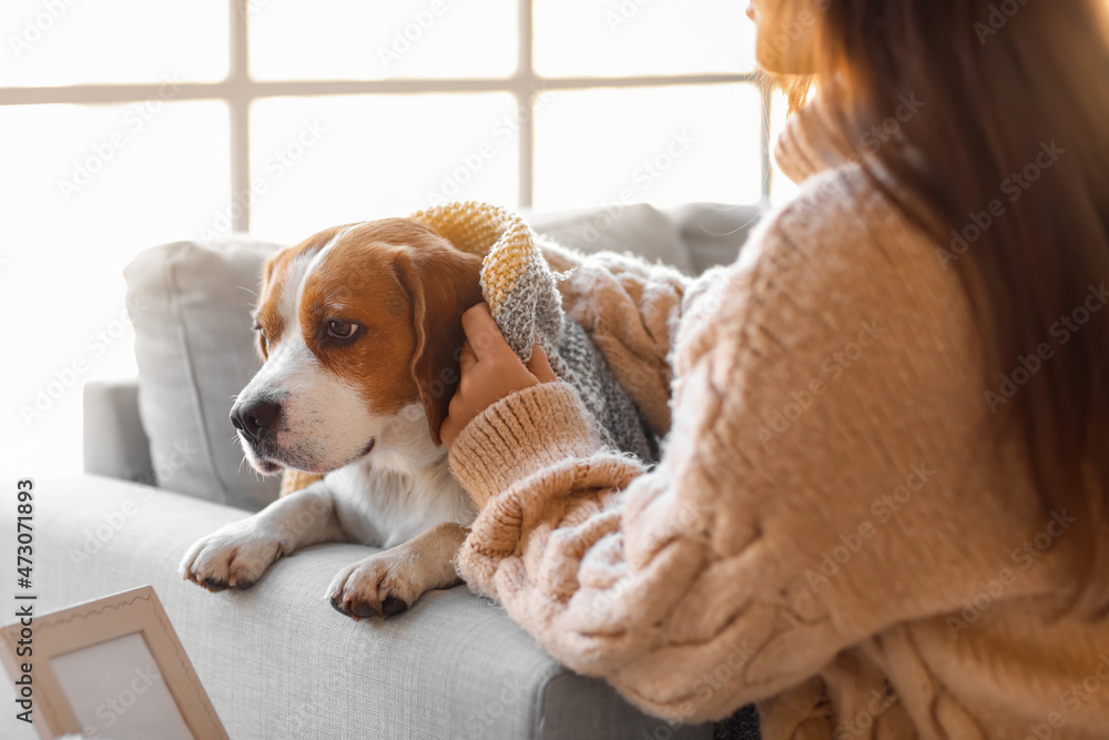 Woman covering her cute dog with warm plaid