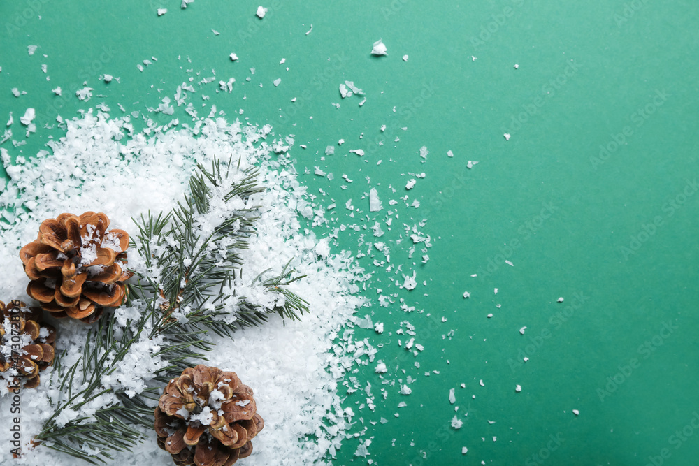 Composition with cones, fir branch and snow on color background