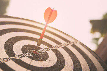 Wall Mural - Bullseye or Bulls eye target or dartboard has dart arrow throw hitting the center of a shooting for financial business targeting planning and aim to winner goal of business concept.