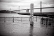 © PIERRE JEAN C - King's tide king tides high tides in San Francisco and Embarcadero flooding: a prelude to climate change