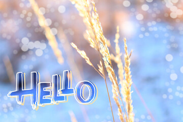 Hand drawn lettering winter phrase on blurred landscape background. Hello - calligraphy text on nature snow forest and water photo Backdrop