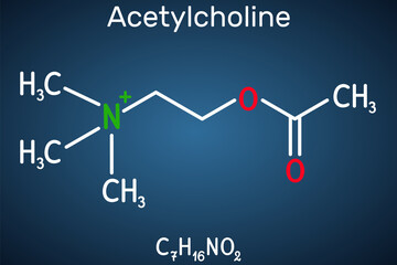 Sticker - Acetylcholine, ACh molecule. It is parasympathomimetic neurotransmitter, vasodilator agent, hormone, human metabolite. Structural chemical formula on the dark blue background