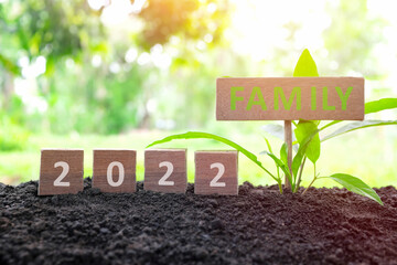 Canvas Print - Year 2022 investing on family and health insurance as priority concept. Wooden blocks 2022 with plant at sunrise on natural background.