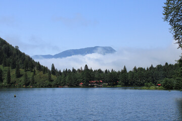 Wall Mural - natural forest lake landscape photo