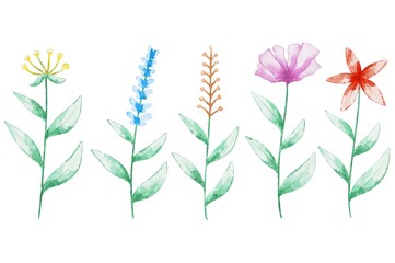 Wall Mural - Flowers watercolor for wedding card design