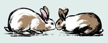 Illustration. Two Rabbits Sniff Each Other On An Isolated Background. Drawing In The Style Of A Careless Retro Sketch By Hand. Vector.