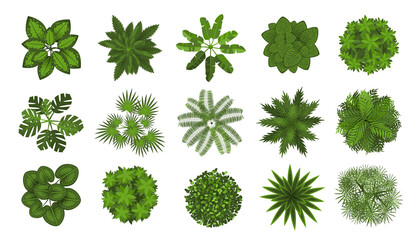 Trees top view. Different plants and trees vector set for architectural or landscape design. (View from above) Nature green spaces.