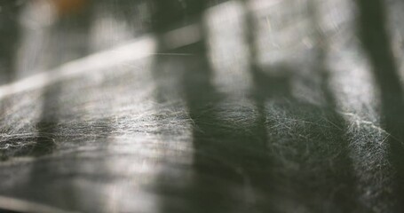 Silky spider web smoothly blown in the wind