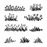 Fototapeta Dinusie - Collection of hand-drawn grass drawings with flowers