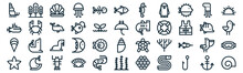 Sea Life Thin Line Icon Set Such As Pack Of Simple Fish Bone, Anglerfish, Sea Lion, Whale, Clam, Dolphin, Octopus Icons For Report, Presentation, Diagram, Web Design