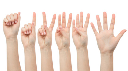 hands counting from one to five isolated on white background