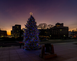 Wall Mural - Christmas tree at the Idaho State Capital and Boise cite