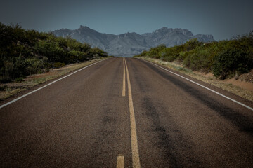 Wall Mural - Main Park road, Big bend national park, Texas