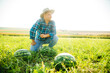 young farmer with hat is in the field of watermelons. against the background of the sky