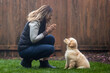 © Mat Hayward - Woman obedience training with her golden retriever puppy dog to sit in backyard grass